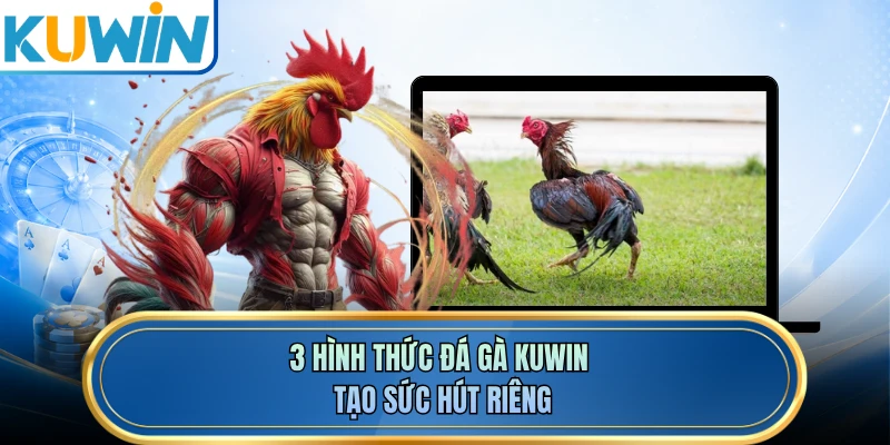 3 hình thức đá gà KUWIN tạo sức hút riêng