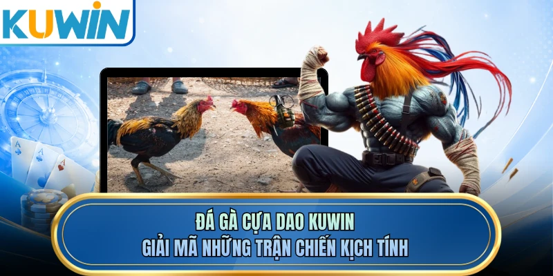 Đá Gà Cựa Dao KUWIN - Giải Mã Những Trận Chiến Kịch Tính