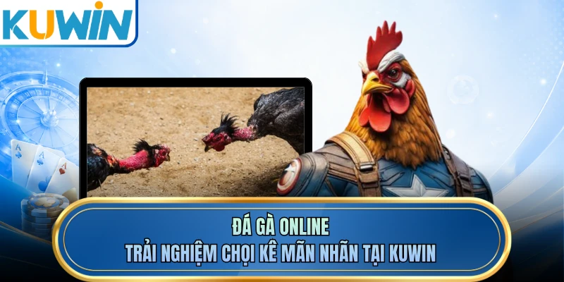 Đá Gà Online - Trải Nghiệm Chọi Kê Mãn Nhãn Tại KUWIN