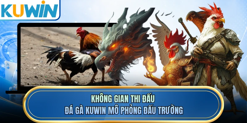 Không gian thi đấu đá gà KUWIN mô phỏng đấu trường