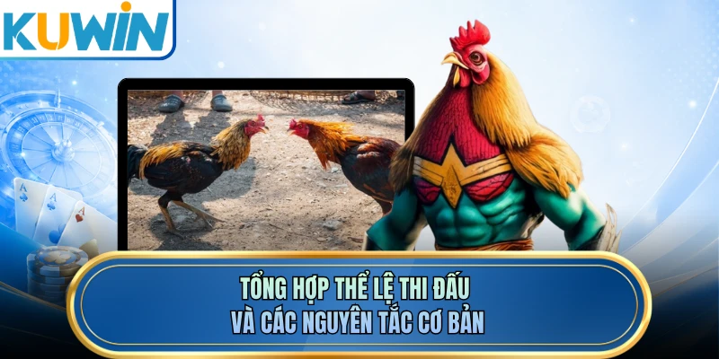 Tổng hợp thể lệ thi đấu và các nguyên tắc cơ bản